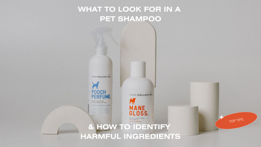 How to Identify Harmful Ingredients in Pet Shampoos - FURR Collective