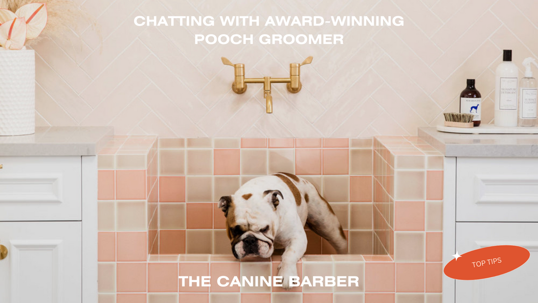 Essential Dog Grooming Tips Every Pet Owner Should Know - FURR Collective