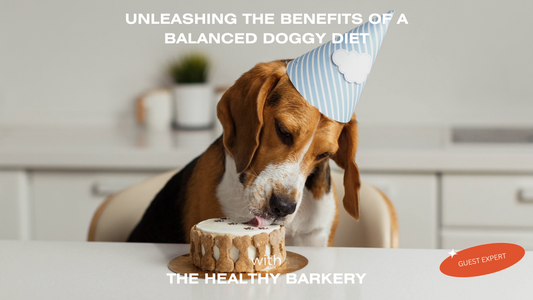 Unleashing the Benefits of a Balanced Doggy Diet - FURR Collective