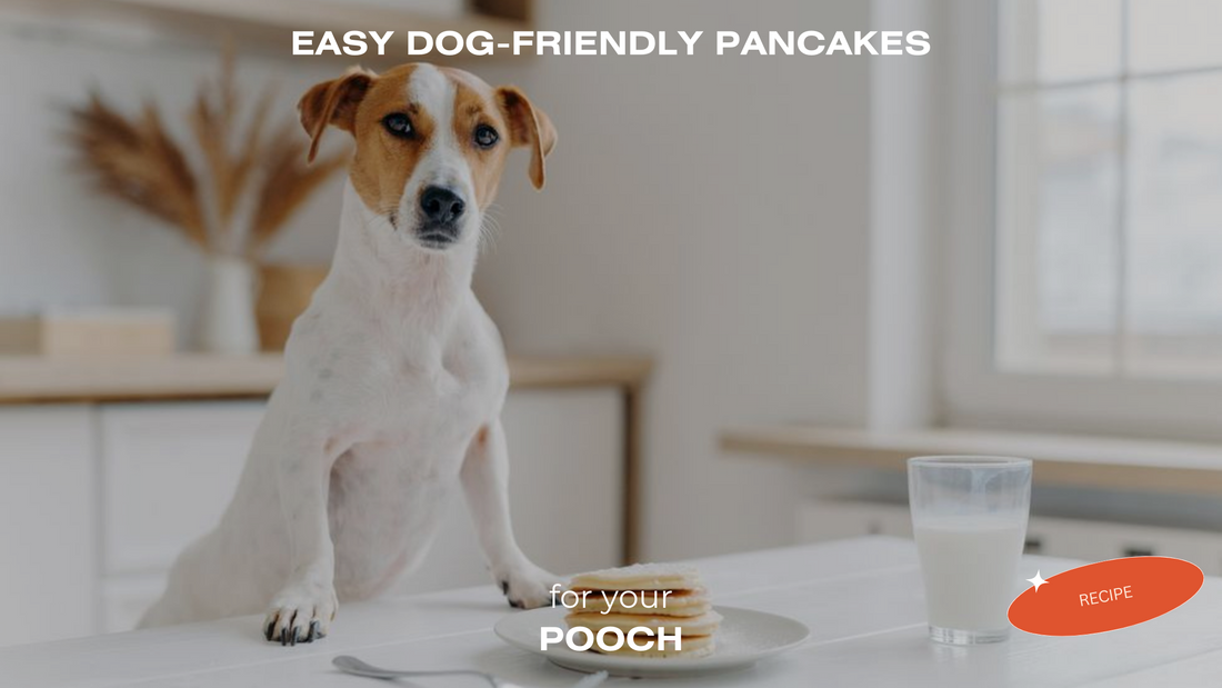 Healthy Dog Friendly Pancake Recipe