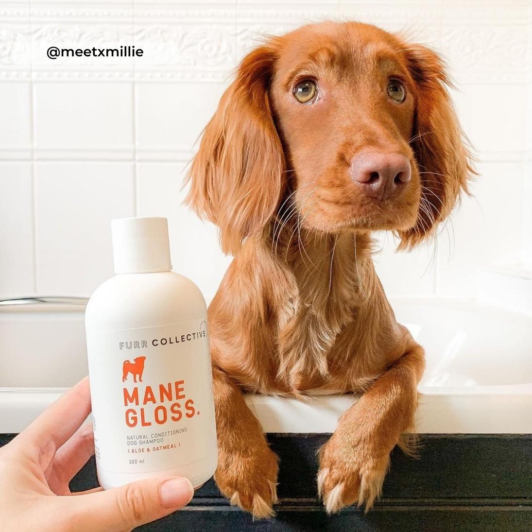 Mane Gloss Conditioning Shampoo - FURR Collective